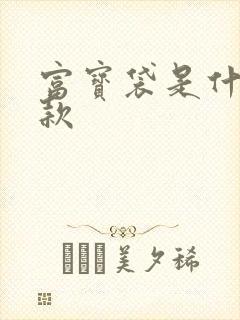 富宝袋是什么贷款