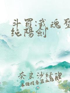 斗罗:武魂圣主纯阳剑