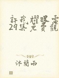 许我耀眼电视剧29集免费观看