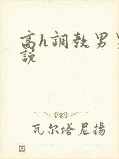 高h调教男男小说