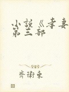 小说《孝妻》全第三部