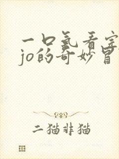 一口气看完jojo的奇妙冒险飙马野郎