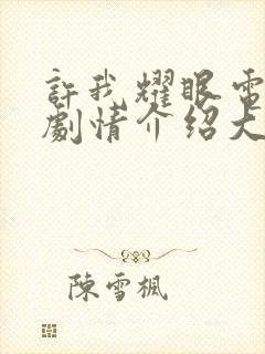 许我耀眼电视剧剧情介绍大结局