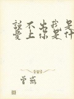 说不出我是真的爱上你是什么歌