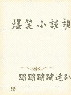 爆笑小说视频