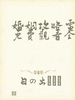 婚姻攻略电视剧免费观看全集高清版