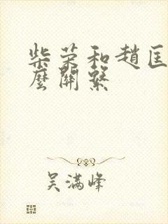 柴荣和赵匡胤什么关系