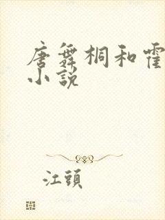 唐舞桐和霍雨浩小说