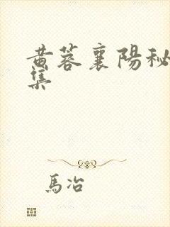 黄蓉襄阳秘史合集