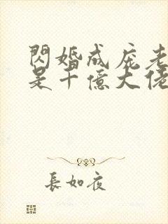 闪婚成庞老公竟是千亿大佬