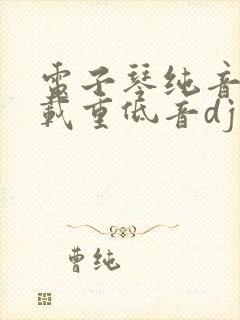 电子琴纯音乐车载重低音dj