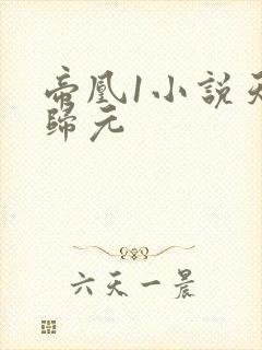 帝凰1小说天下归元