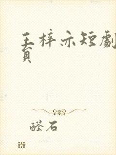 王梓亦短剧男演员