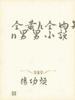 全黄h全肉短篇n男男小说