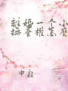 离婚一个小孩子抚养权怎么判定