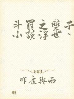 斗罗之双子斗罗小说浮世丶