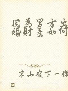 因为男方出轨离婚财产如何分割