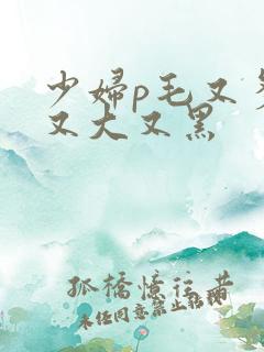 少妇p毛又多水又大又黑