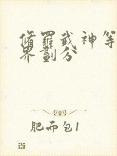 修罗武神等级境界划分