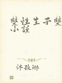 双性生子双男主小说