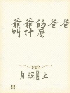 爷爷的爸爸管我叫什么