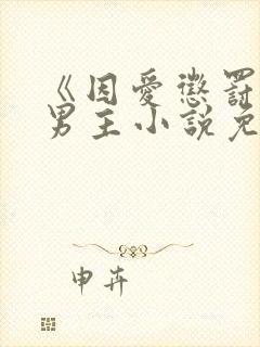 《因爱惩罚》双男主小说免费阅读