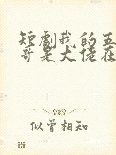 短剧我的五个哥哥是大佬在线观看