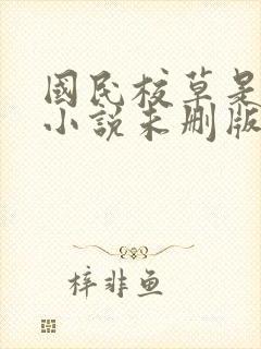 国民校草是女生小说未删版