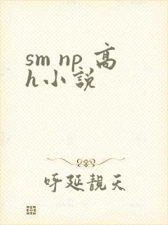 sm np 高h小说
