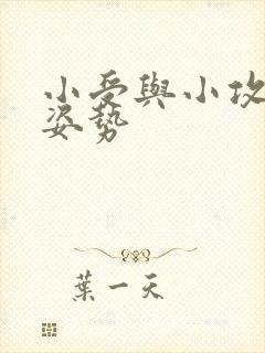 小受与小攻各种姿势