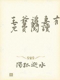 王爷追妻有点忙免费阅读