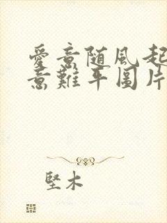 爱意随风起风止意难平图片