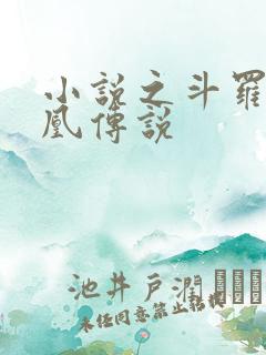 小说之斗罗之龙凰传说