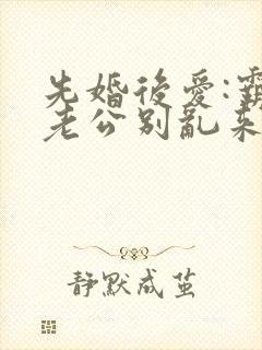 先婚后爱:霸道老公别乱来