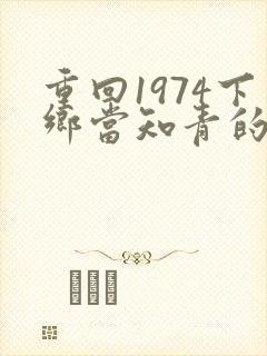 重回1974下乡当知青的小说