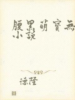 腹黑萌宝无良娘小说