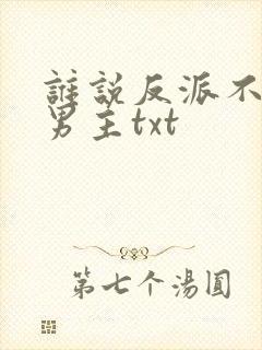 谁说反派不能当男主txt