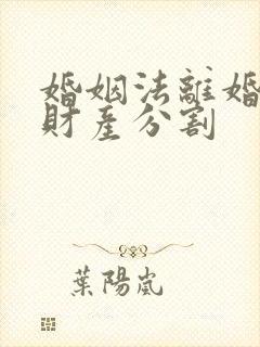 婚姻法离婚后的财产分割