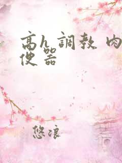 高h 调教 肉便器