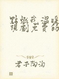 点燃我温暖你电视剧免费的