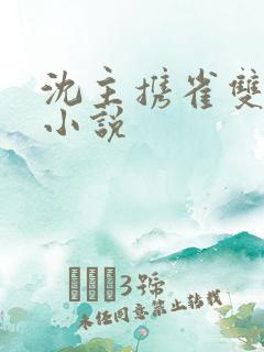 沈主携雀双男主小说