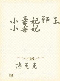 小毒妃邪王夜宠小毒妃