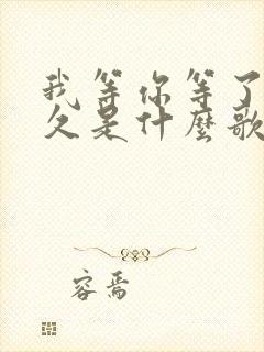 我等你等了那么久是什么歌