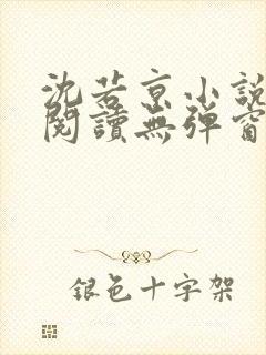 沈若京小说免费阅读无弹窗