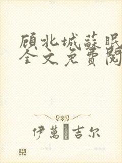 顾北城苏眠小说全文免费阅读