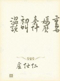 温初秦嫣重生小说叫什么名字