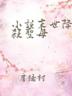 小说末世降临先杀圣母