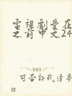 电视剧爱在日落之前中文24集