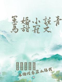 军婚小说青梅竹马甜宠文