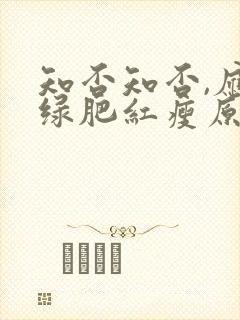 知否知否,应是绿肥红瘦原著